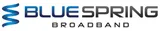 Blue Spring Logo