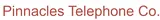 PinTelCo Logo