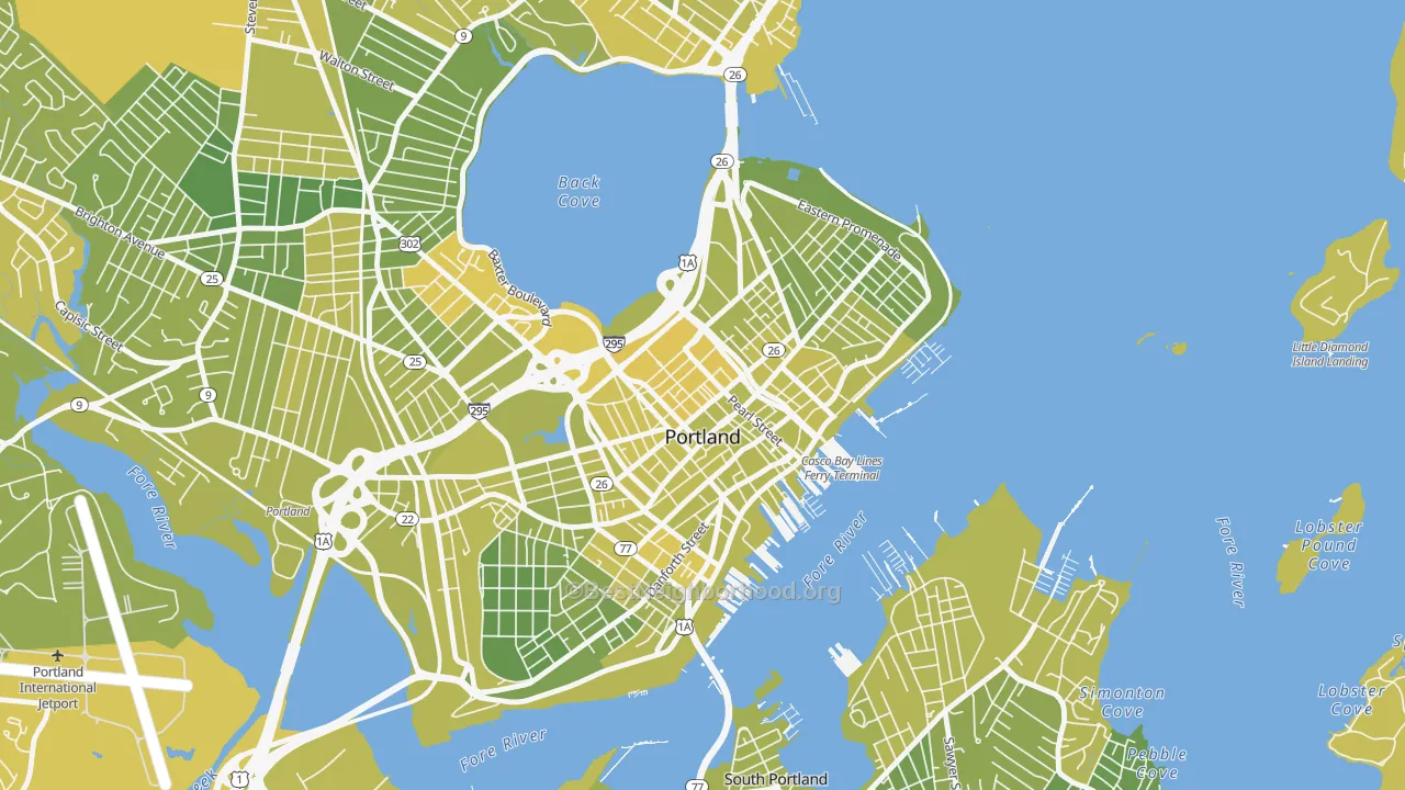 Map of the best neighborhoods in the 04101 area, with better matches in green and worse matches in red