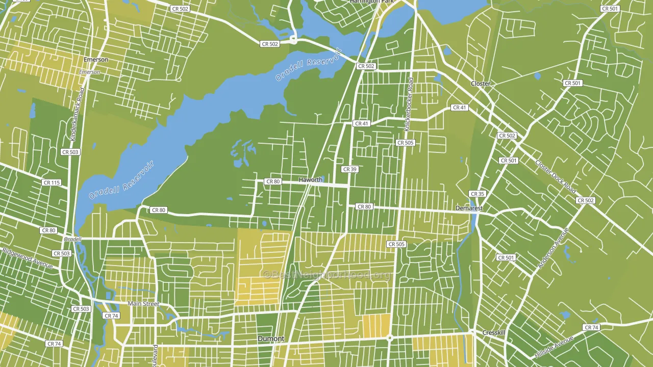 Map of the best neighborhoods in the 07641 area, with better matches in green and worse matches in red