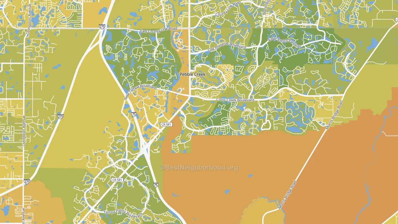 Map of the best neighborhoods in the 33647 area, with better matches in green and worse matches in red