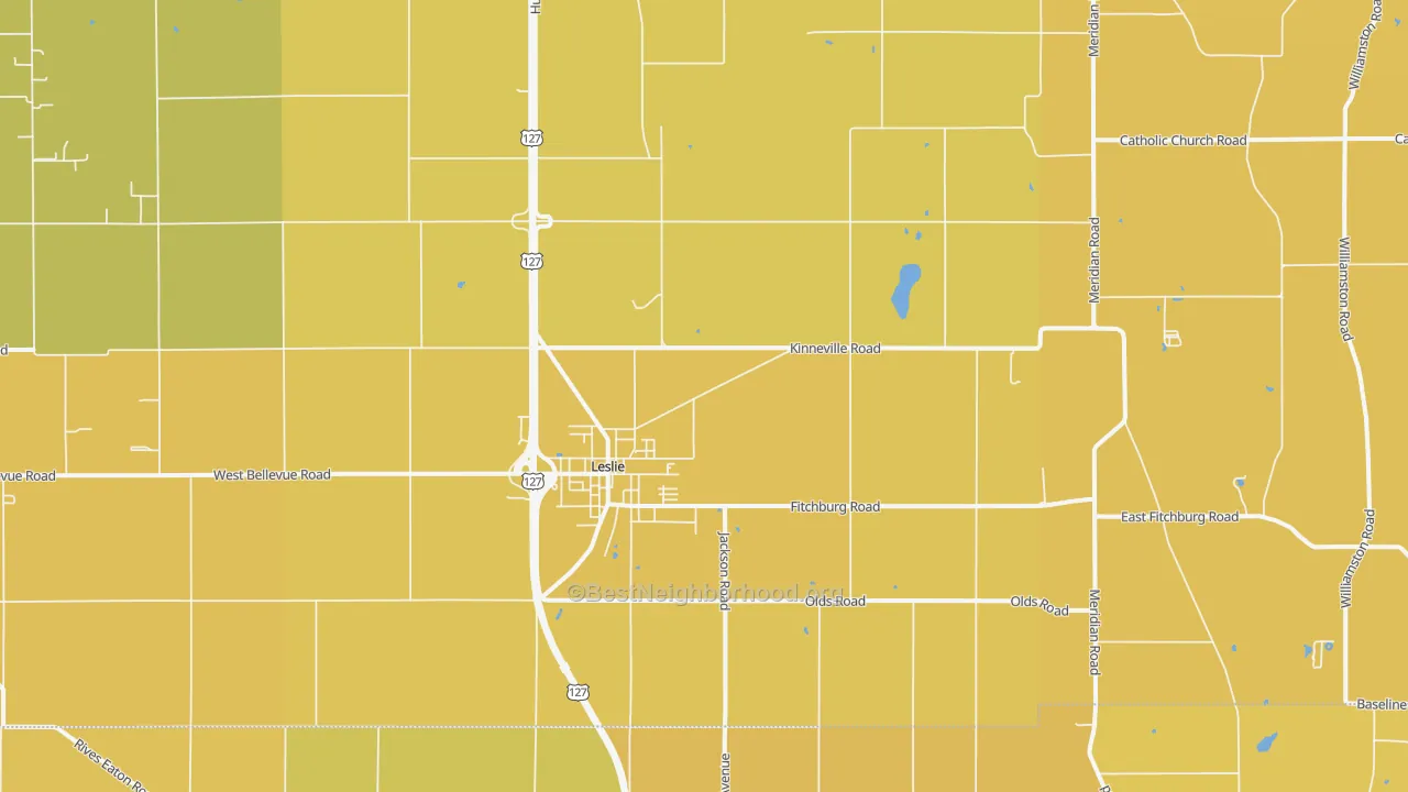 Map of the best neighborhoods in the 49251 area, with better matches in green and worse matches in red