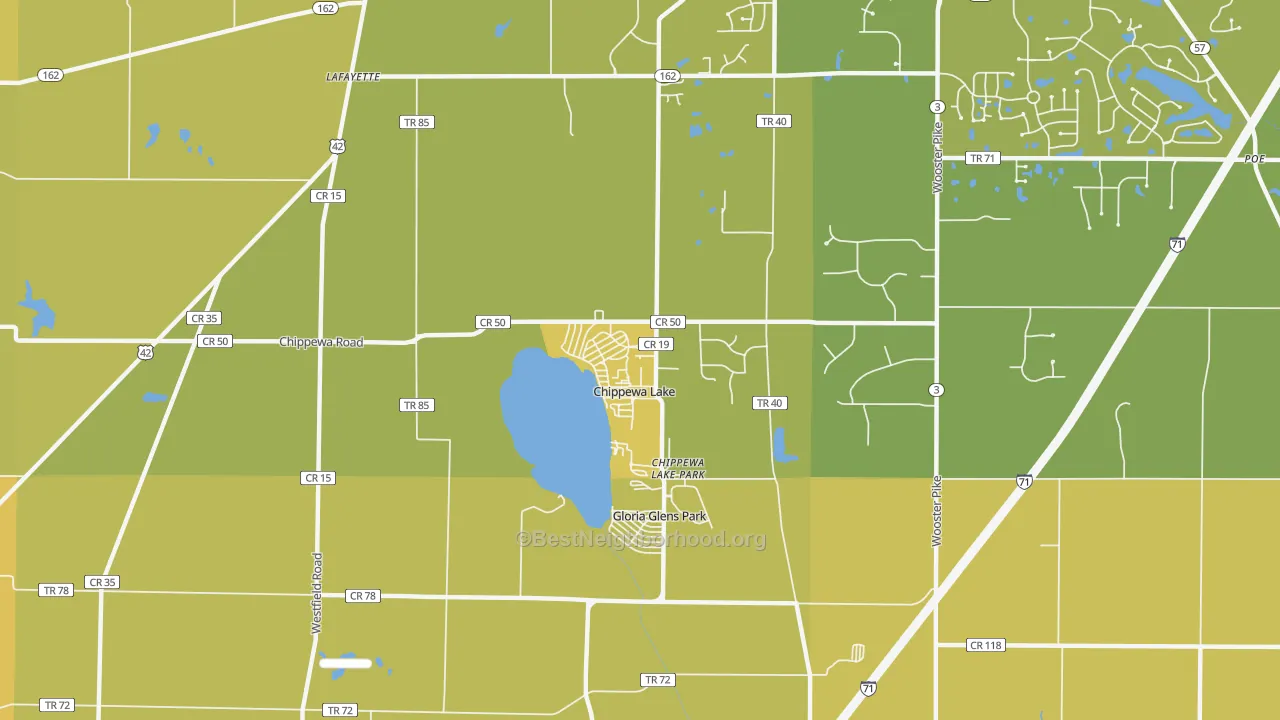 Map of the best neighborhoods in the Chippewa Lake area, with better matches in green and worse matches in red