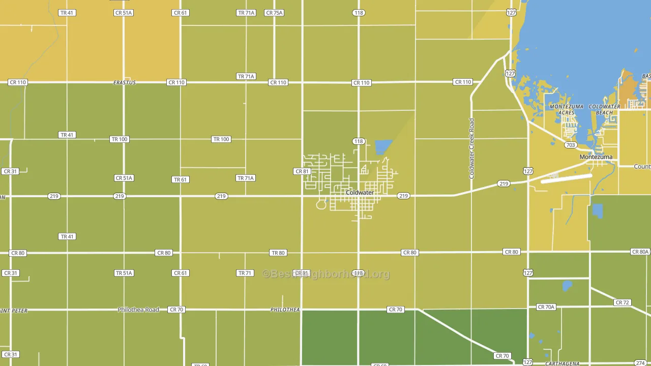 Map of the best neighborhoods in the Coldwater area, with better matches in green and worse matches in red