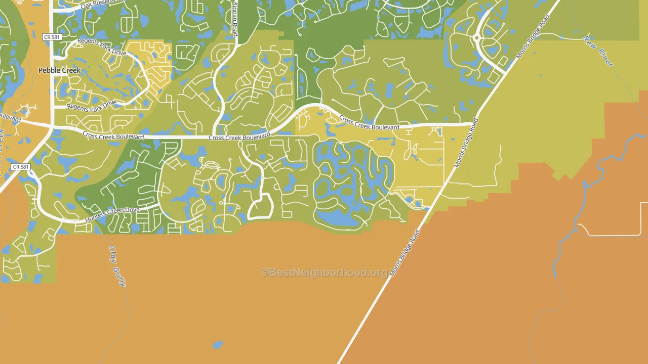 Map of the best neighborhoods in the Cory Lake Isles, Tampa area, with better matches in green and worse matches in red