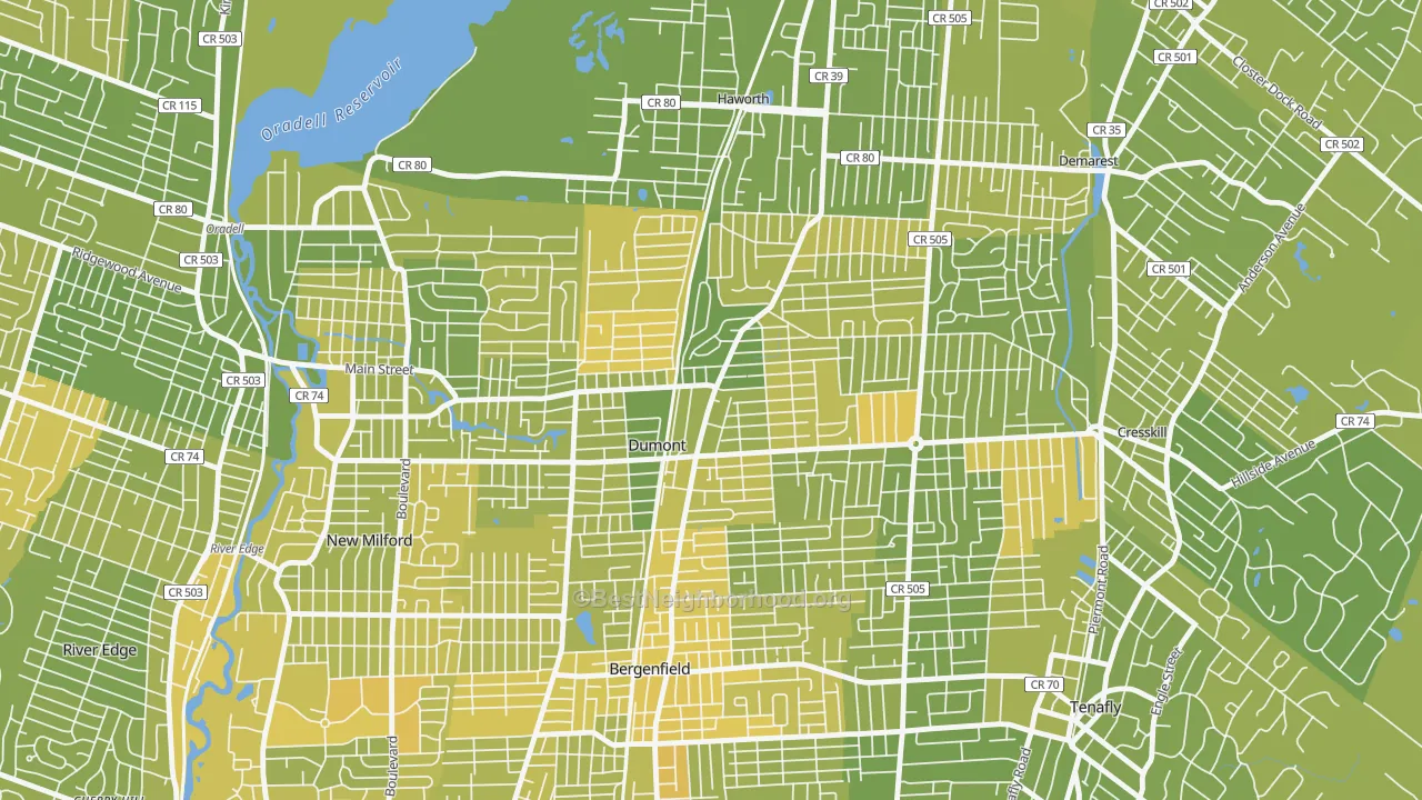 Map of the best neighborhoods in the Dumont area, with better matches in green and worse matches in red