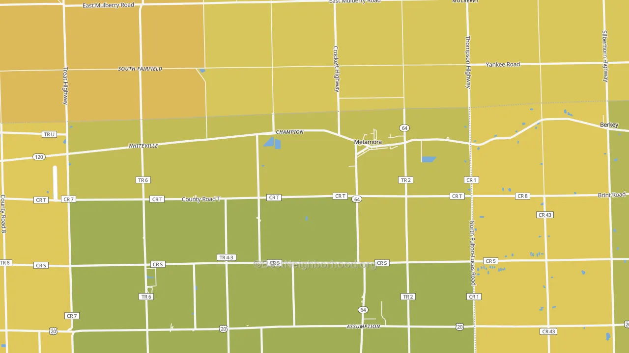 Map of the best neighborhoods in the Metamora area, with better matches in green and worse matches in red