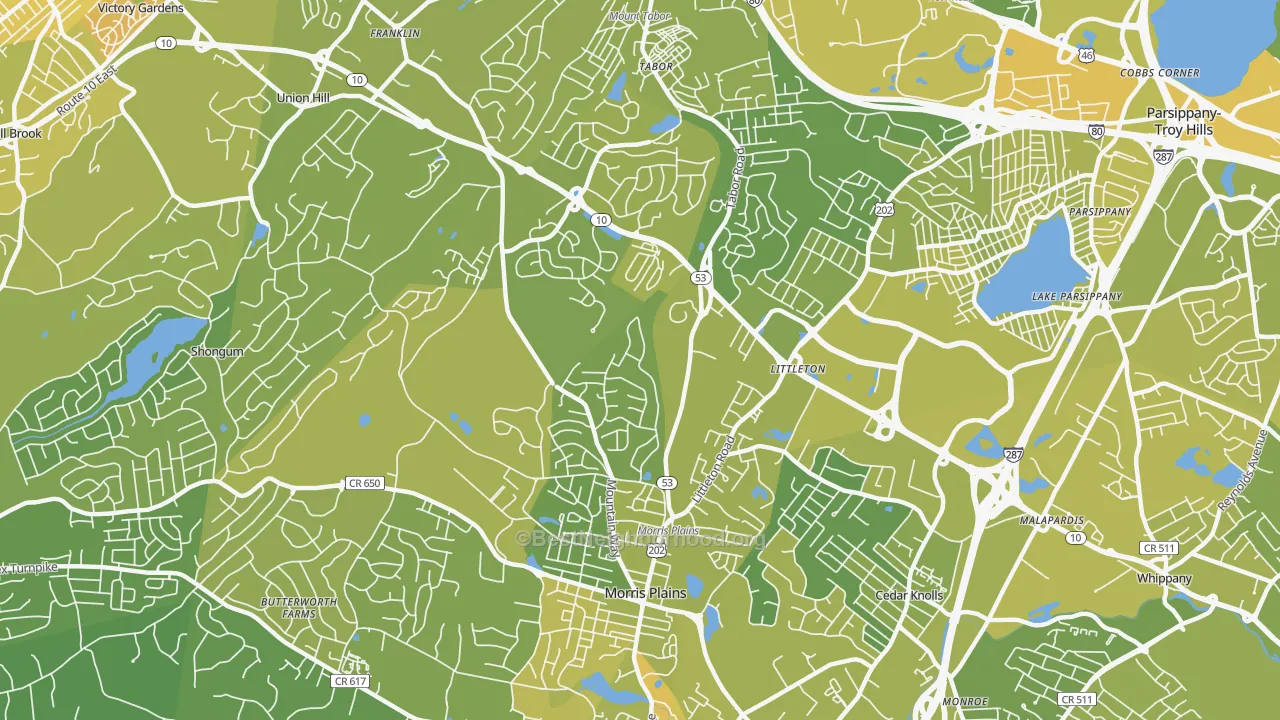 Map of the best neighborhoods in the Morris Plains area, with better matches in green and worse matches in red