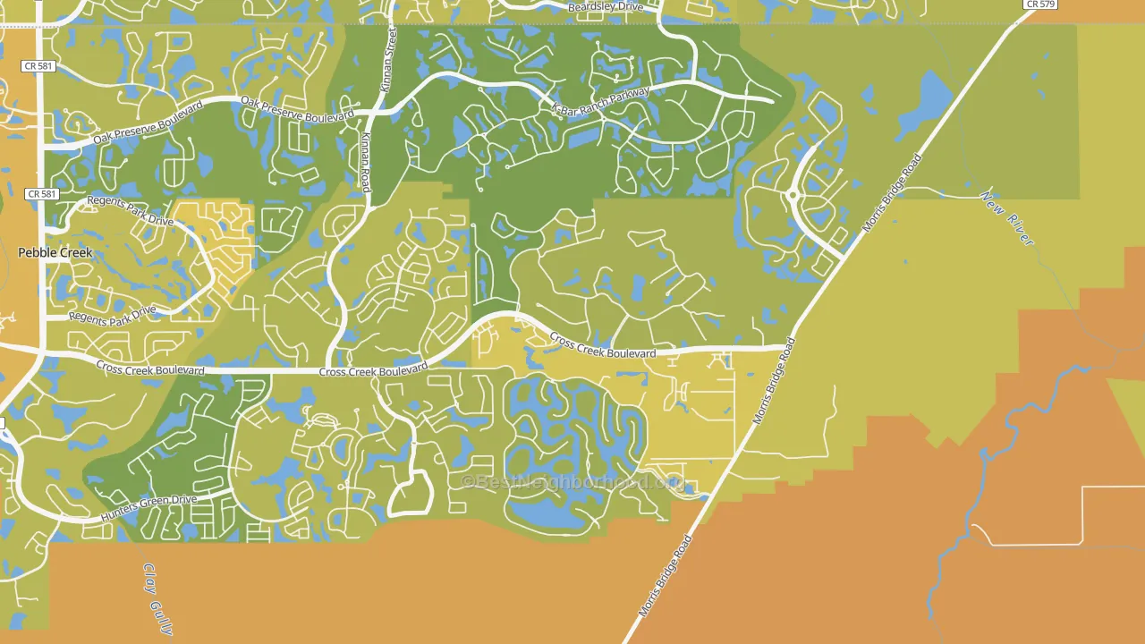 Map of the best neighborhoods in the New Tampa, Tampa area, with better matches in green and worse matches in red