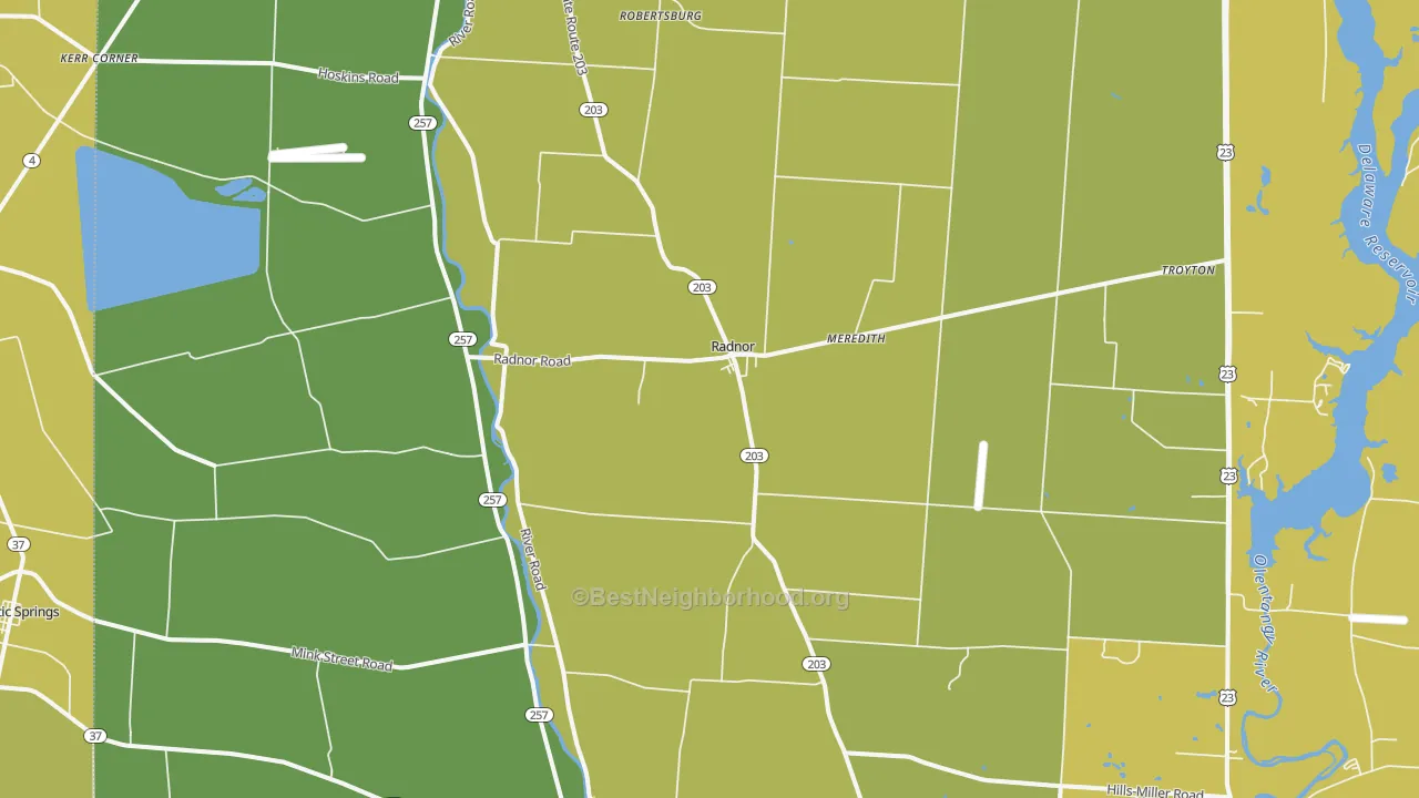 Map of the best neighborhoods in the Radnor area, with better matches in green and worse matches in red