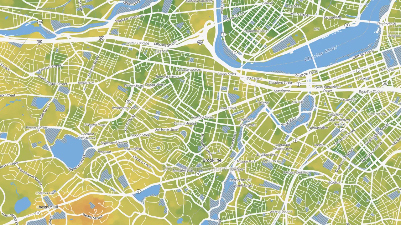Bike Grade map of 02446, MA