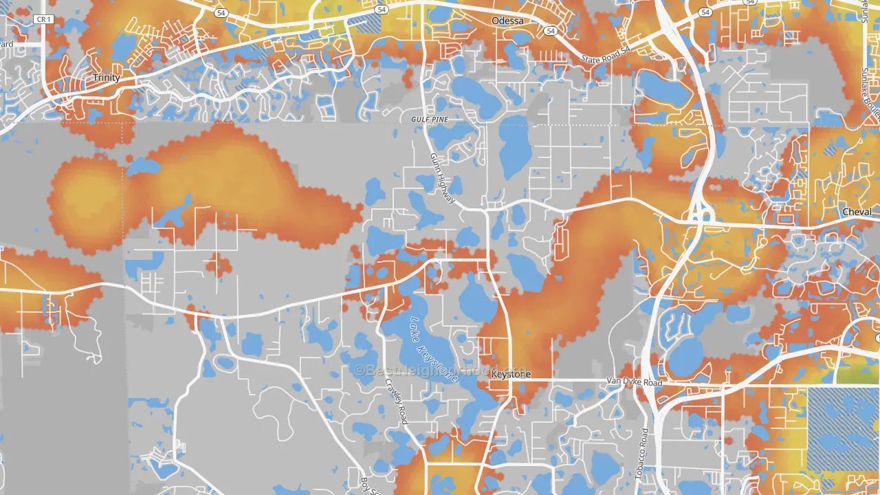 Bike Grade map of 33556, FL
