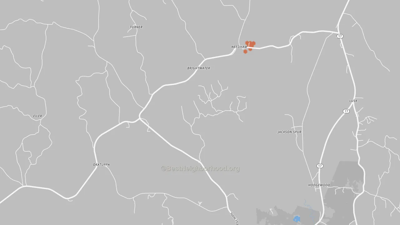 Bike Grade map of Needham, AL