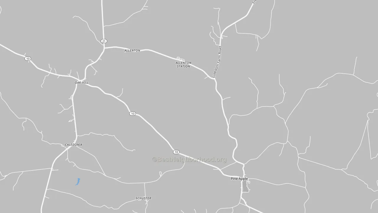Bike Grade map of Pine Apple, AL