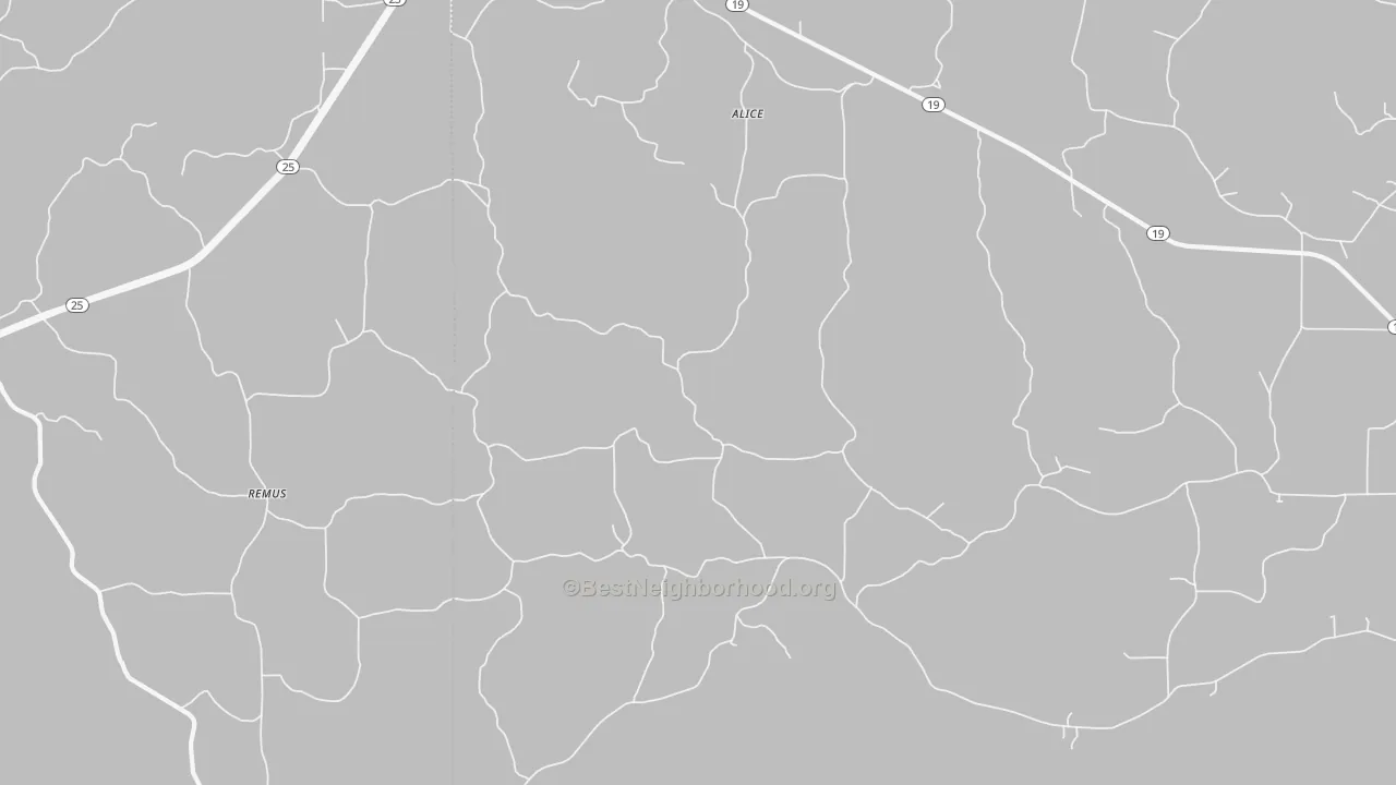 Bike Grade map of Remus, MS