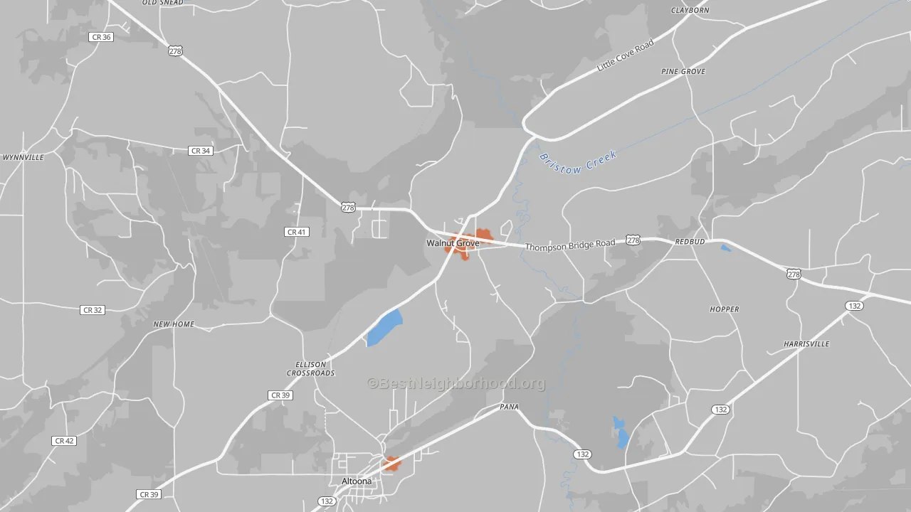 Bike Grade map of Walnut Grove, AL