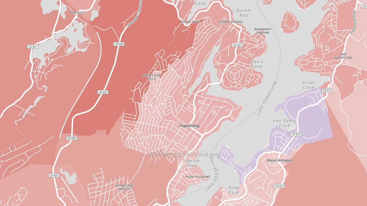 07843, NJ block-group political-lean map