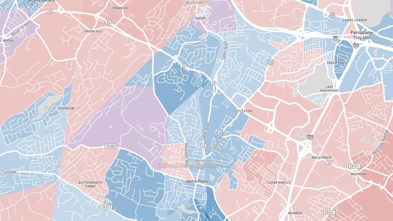 07950, NJ block-group political-lean map