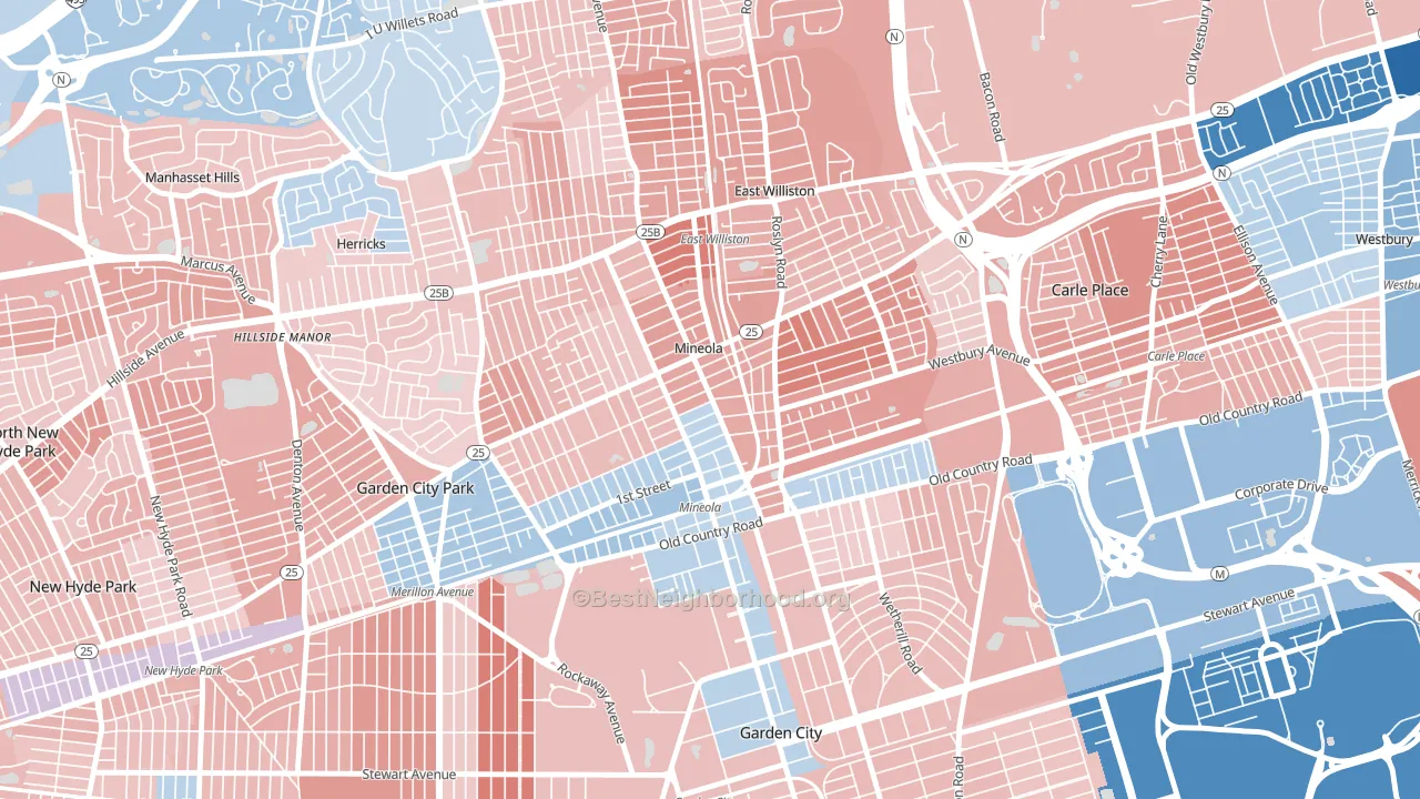11501, NY block-group political-lean map