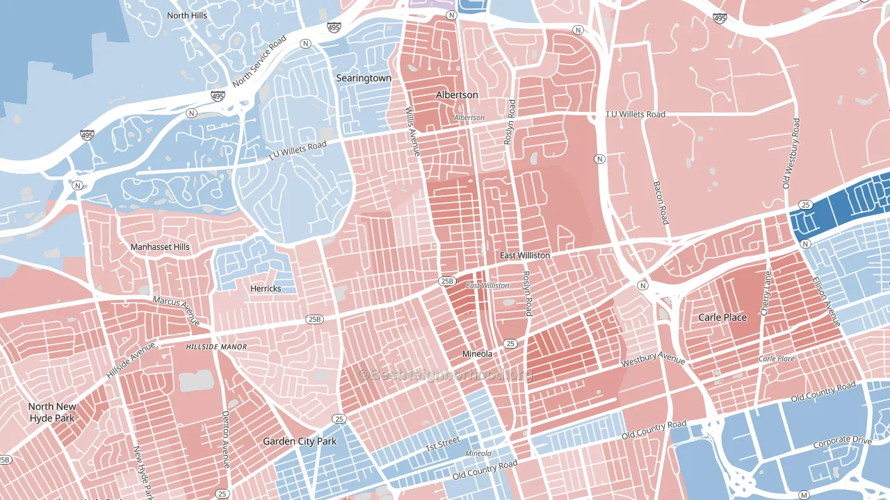 11596, NY block-group political-lean map