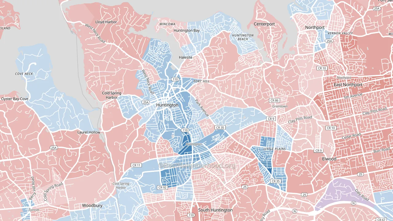 11743, NY block-group political-lean map