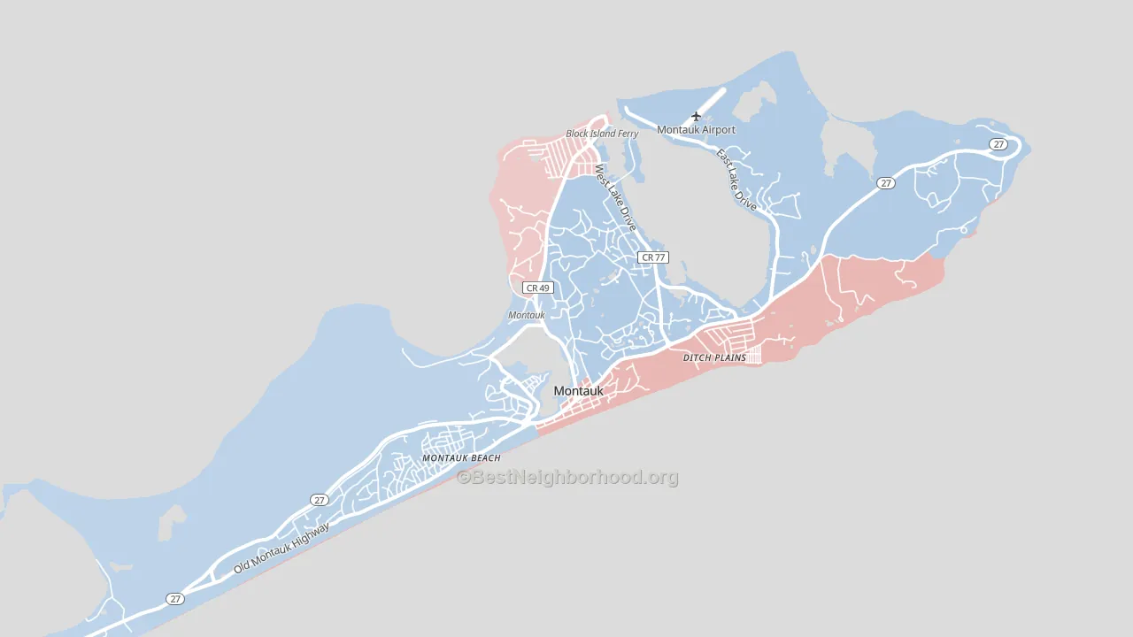 11954, NY block-group political-lean map