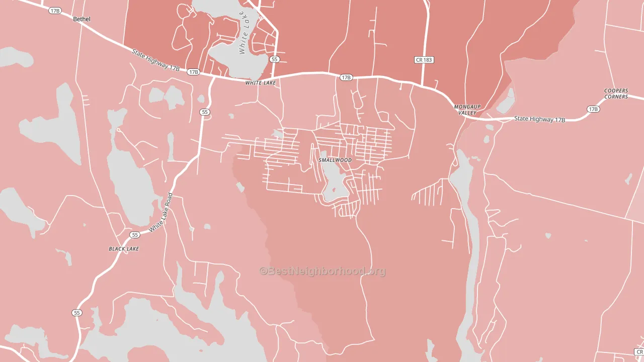 12778, NY block-group political-lean map