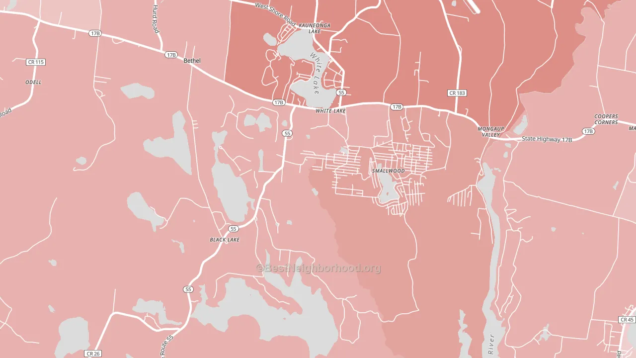 12786, NY block-group political-lean map
