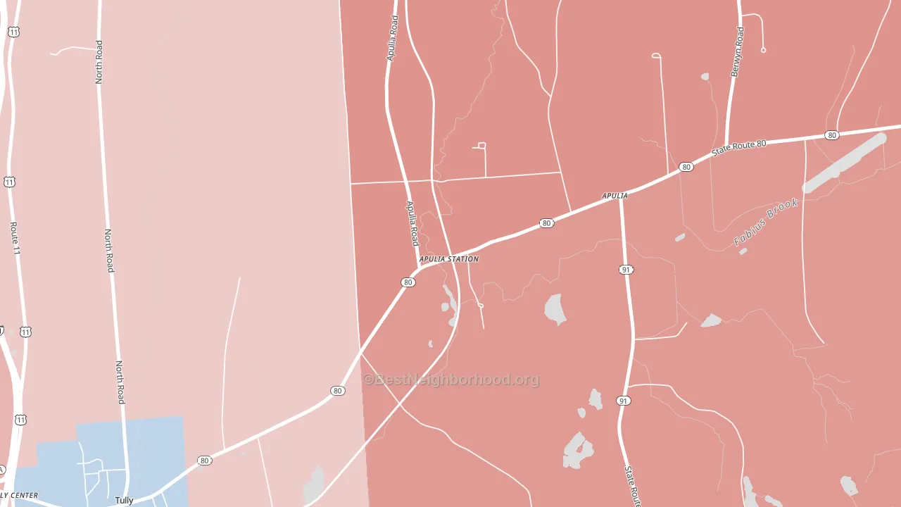 13020, NY block-group political-lean map