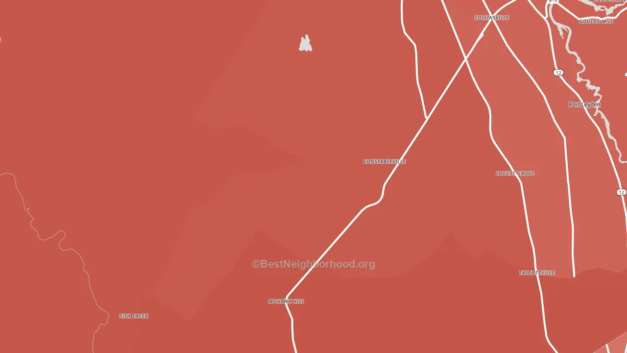 13325, NY block-group political-lean map