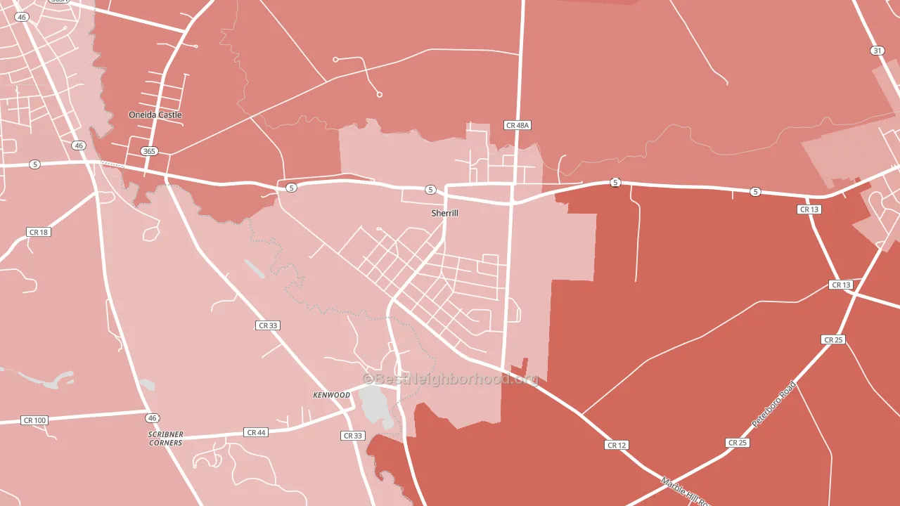 13461, NY block-group political-lean map