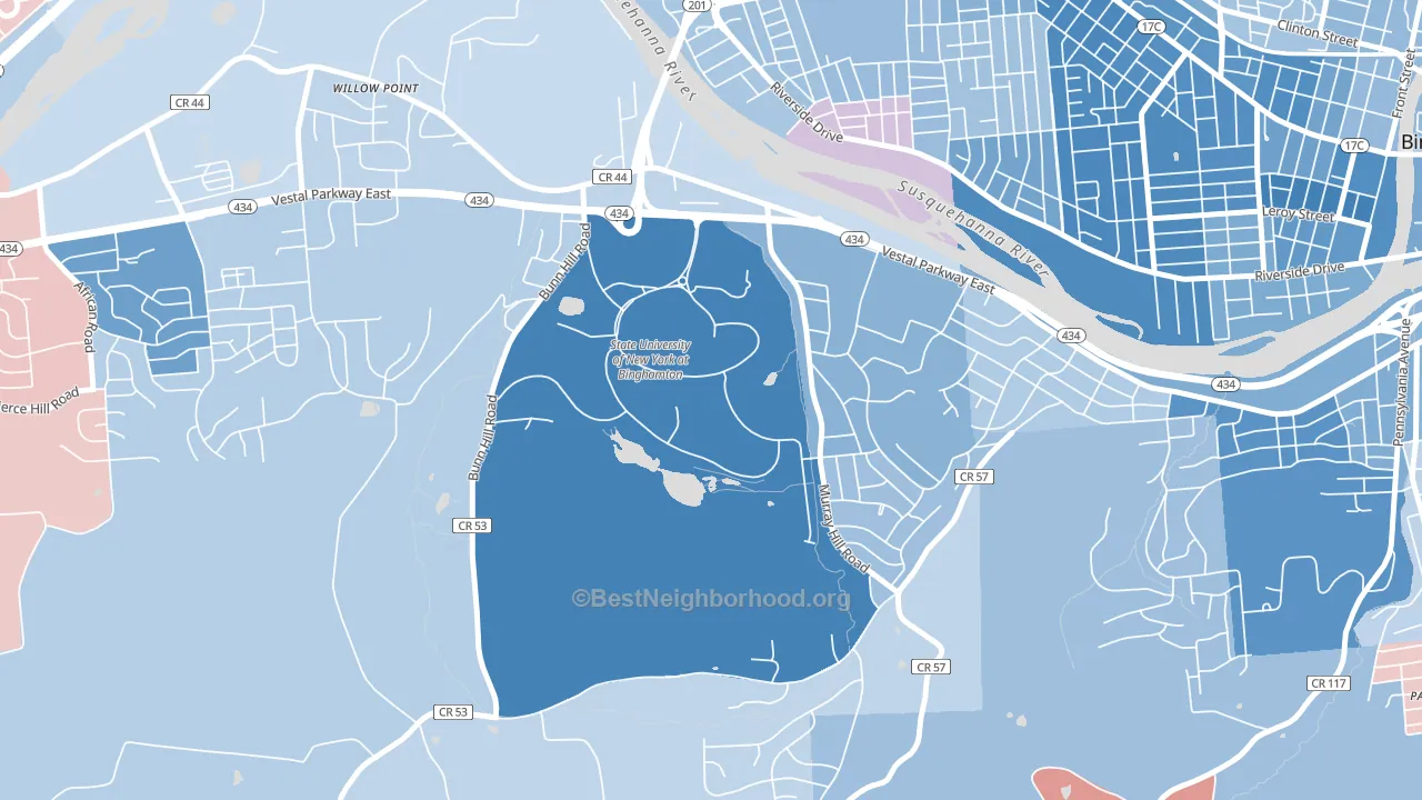 13902, NY block-group political-lean map