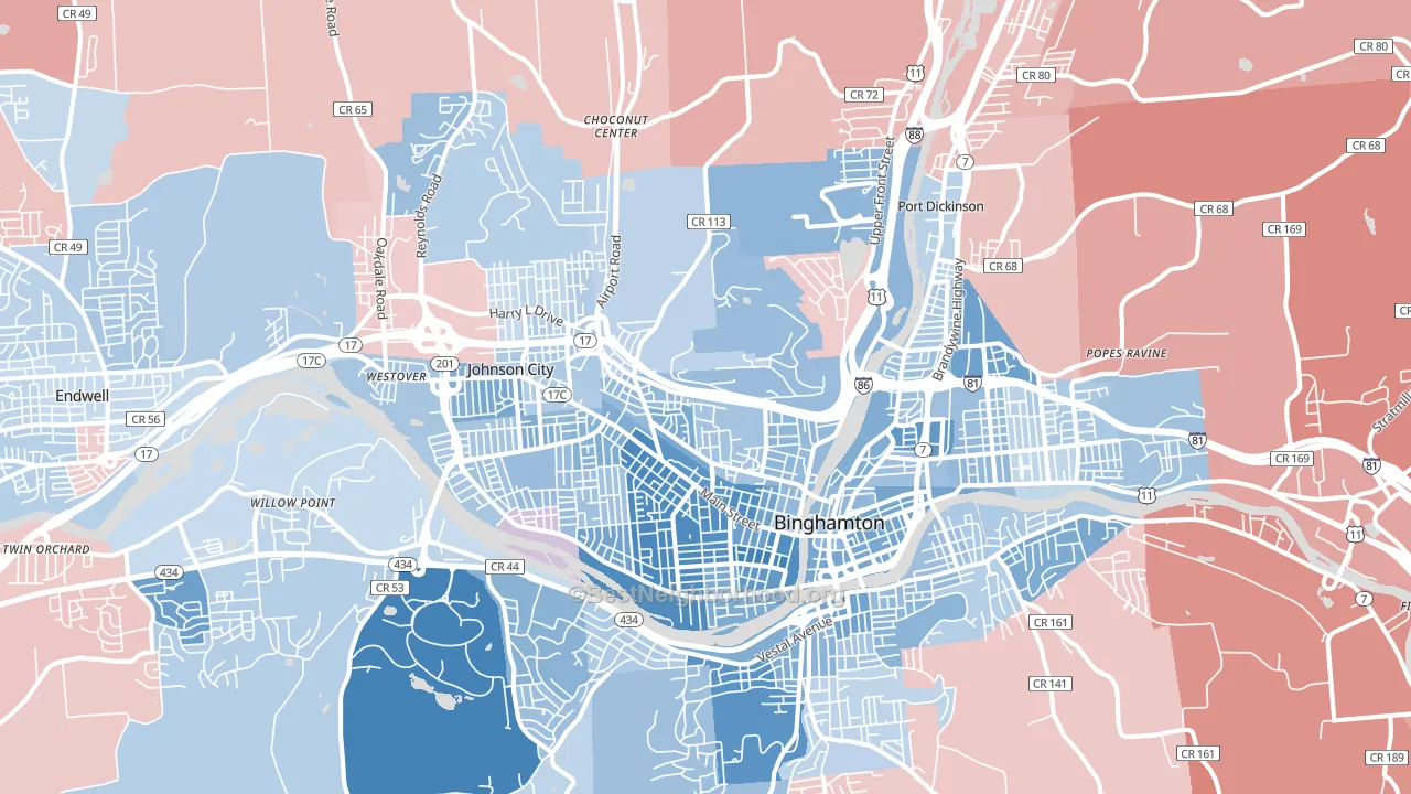 13905, NY block-group political-lean map