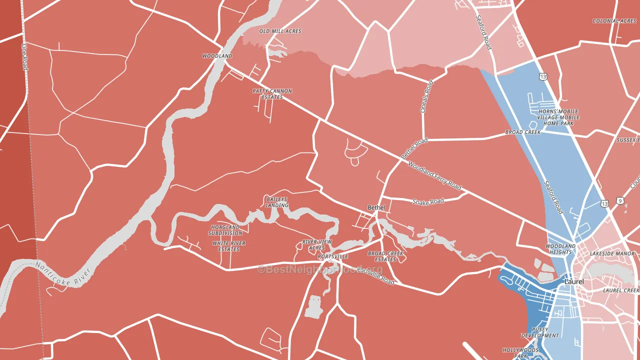 19931, DE block-group political-lean map