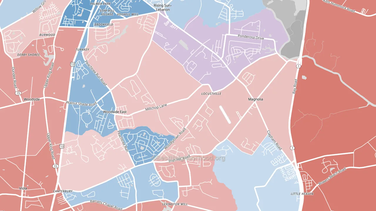 19962, DE block-group political-lean map