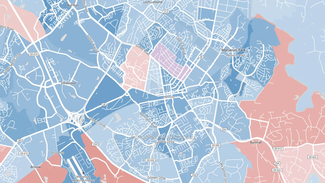 20110, VA block-group political-lean map