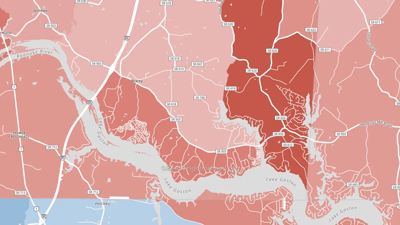 23919, VA block-group political-lean map
