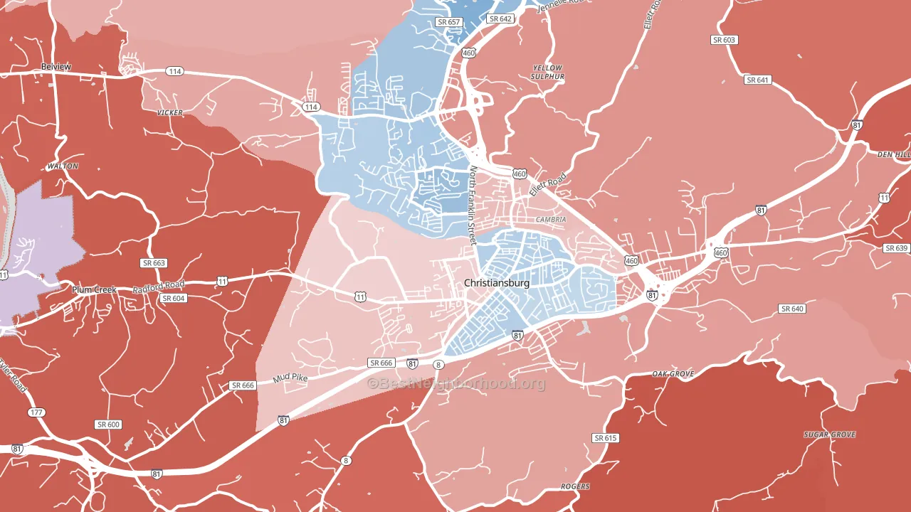 24073, VA block-group political-lean map