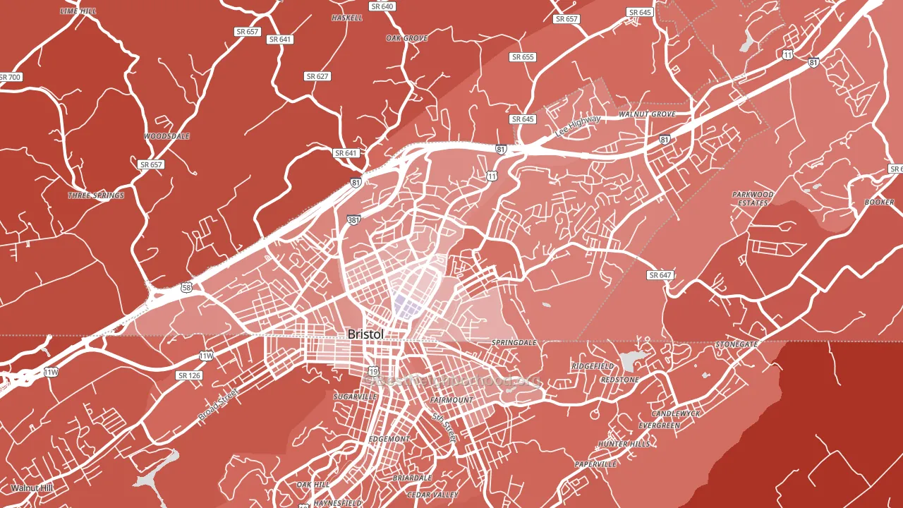 24201, VA block-group political-lean map