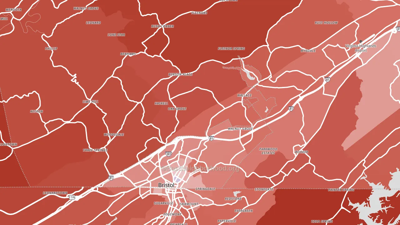 24202, VA block-group political-lean map