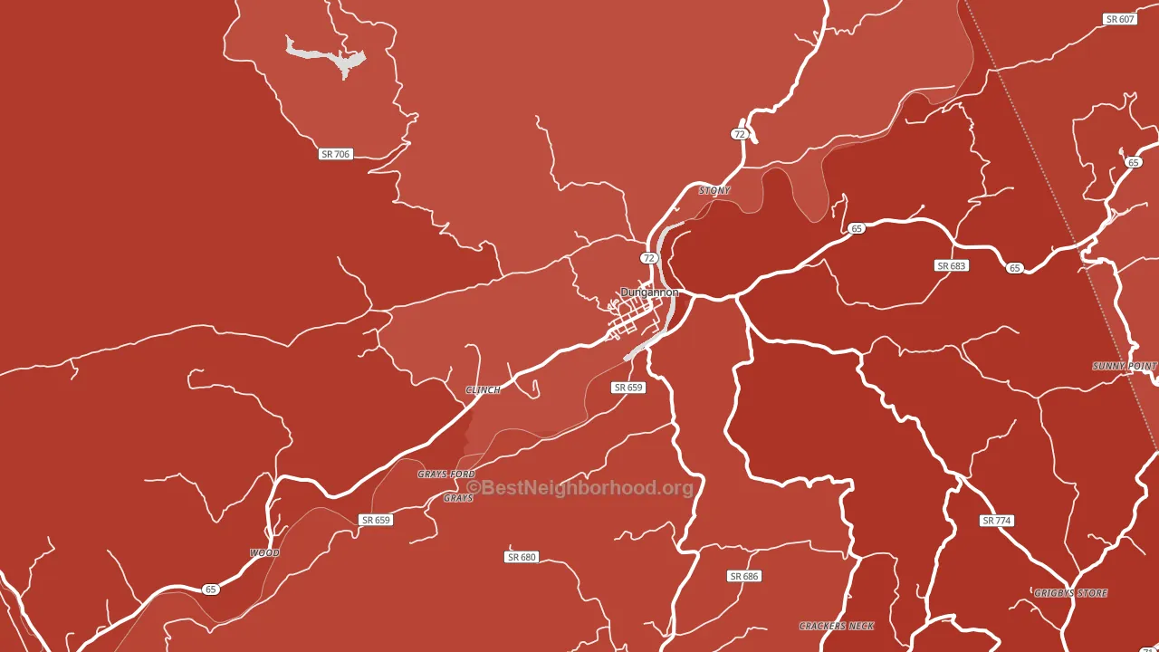 24245, VA block-group political-lean map