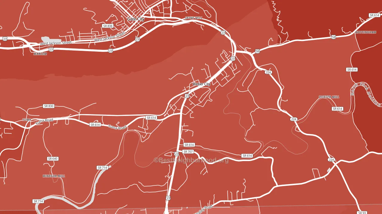 24290, VA block-group political-lean map