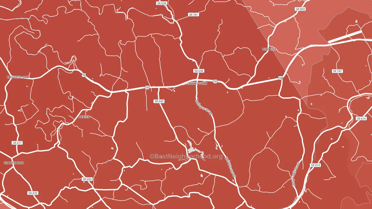 24352, VA block-group political-lean map
