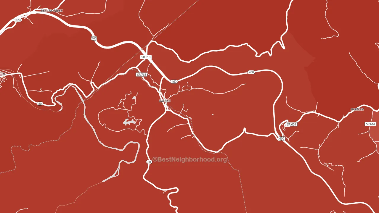 24607, VA block-group political-lean map