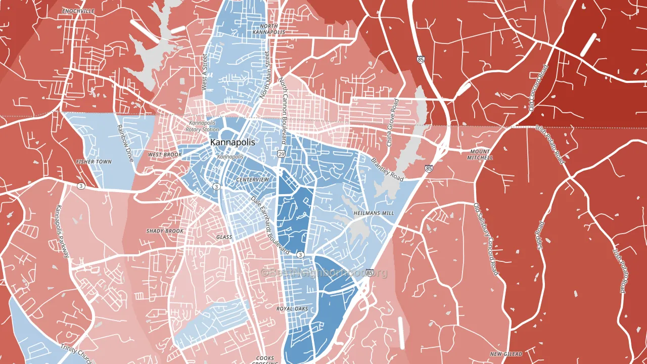 28083, NC block-group political-lean map