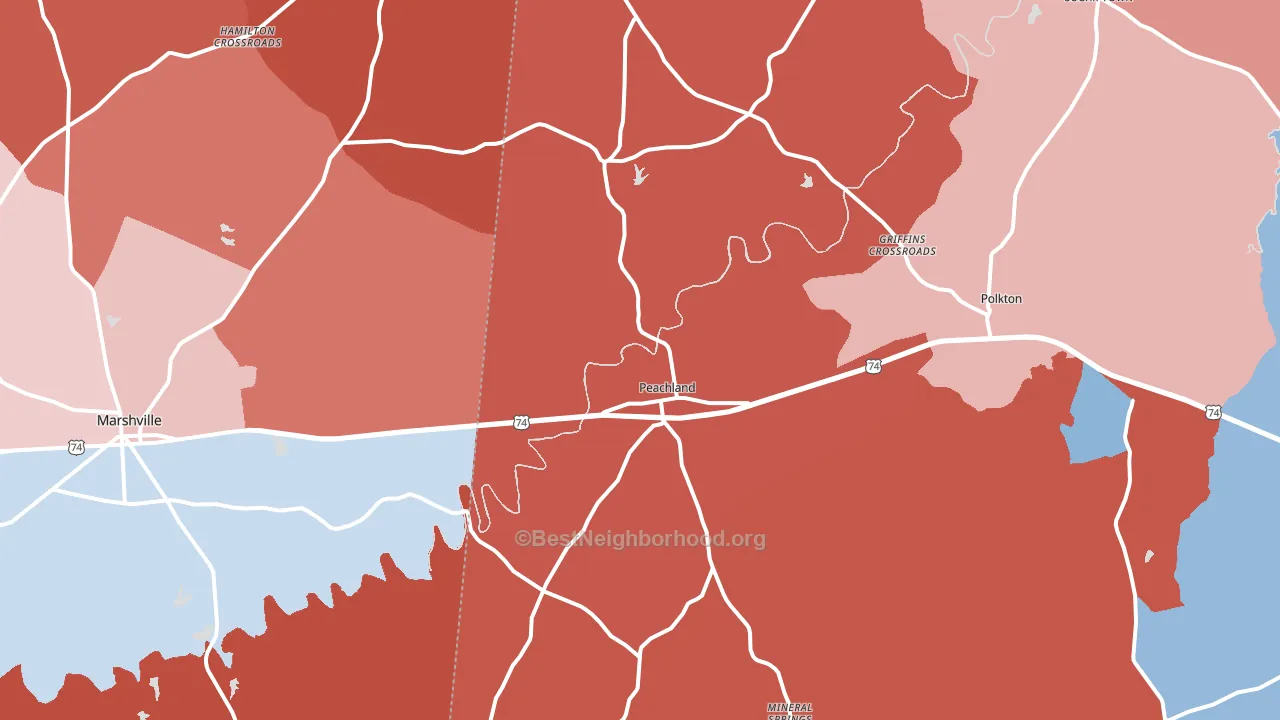 28133, NC block-group political-lean map