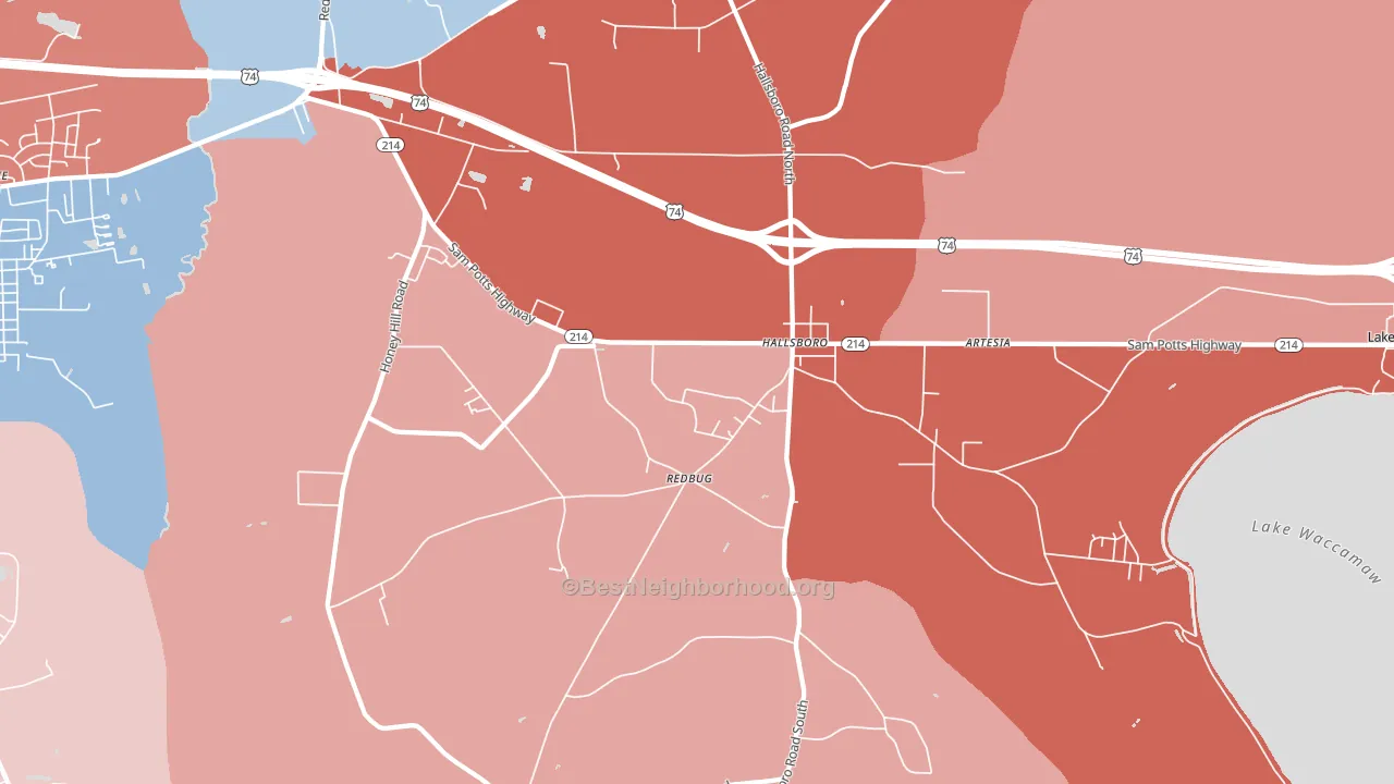28442, NC block-group political-lean map