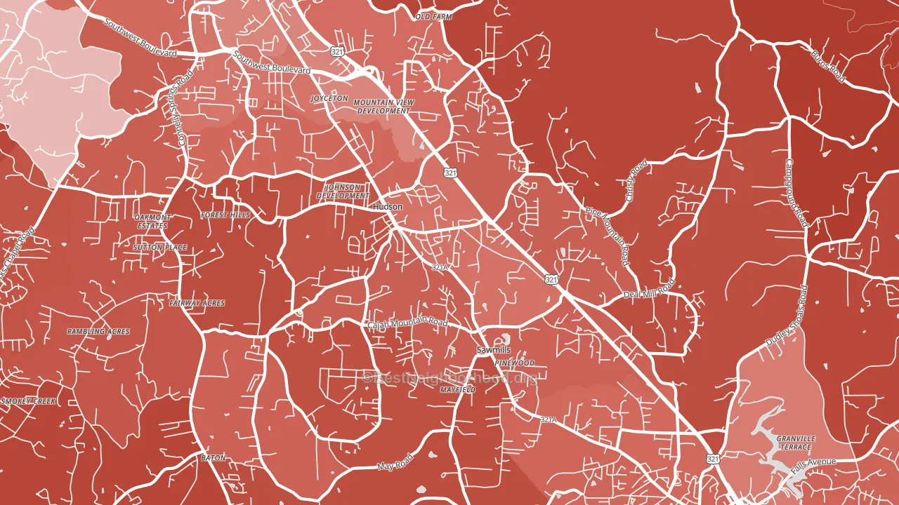 28638, NC block-group political-lean map