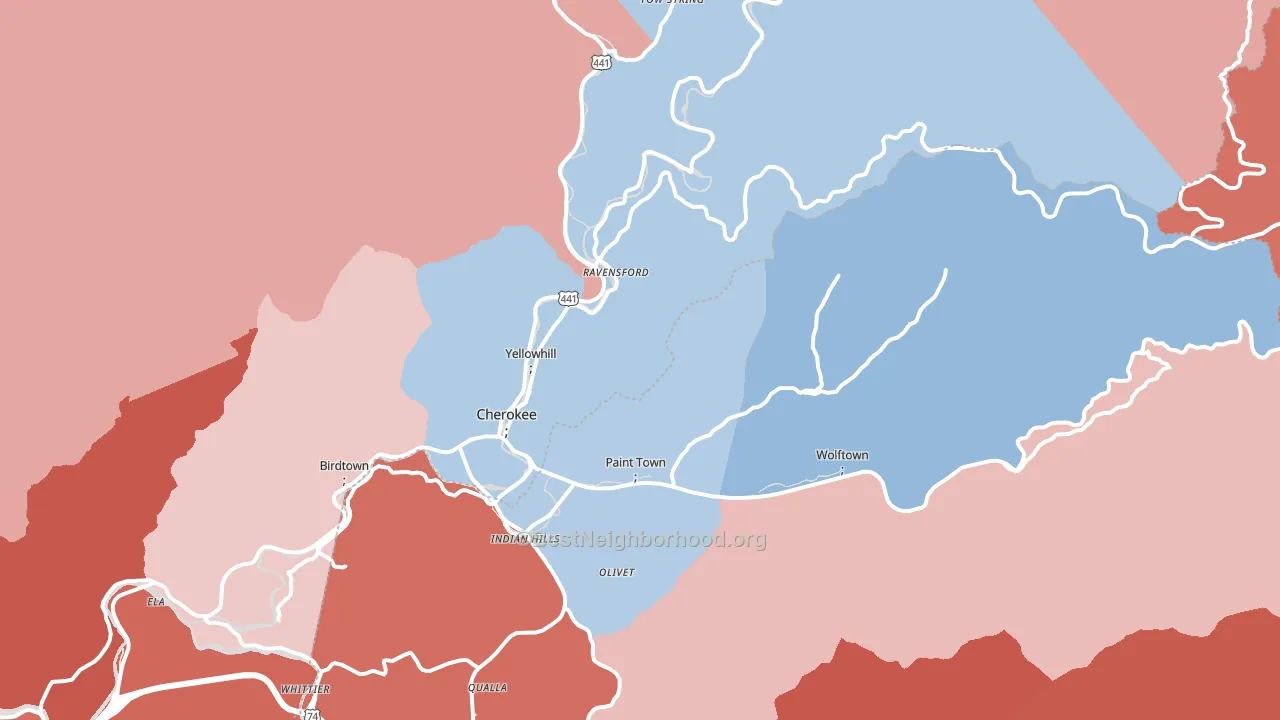 28719, NC block-group political-lean map