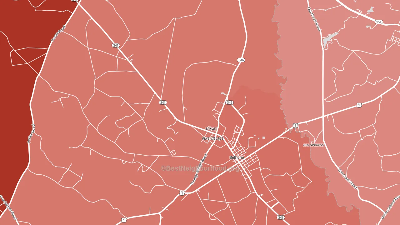 29009, SC block-group political-lean map